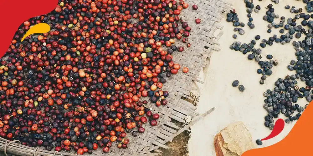 kopi indonesia mendunia